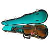 Image 2 : Violin in Fitted Case