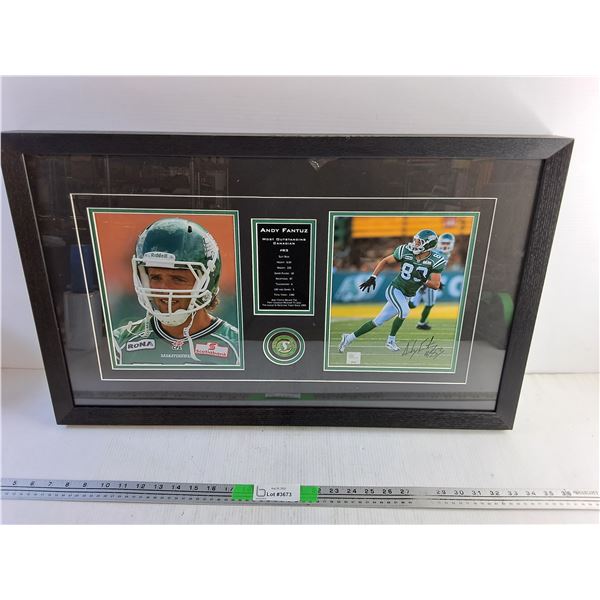 Framed Autographed Andy Fantuz Saskatchewan Roughriders Football Wall Decor 29" x 18"
