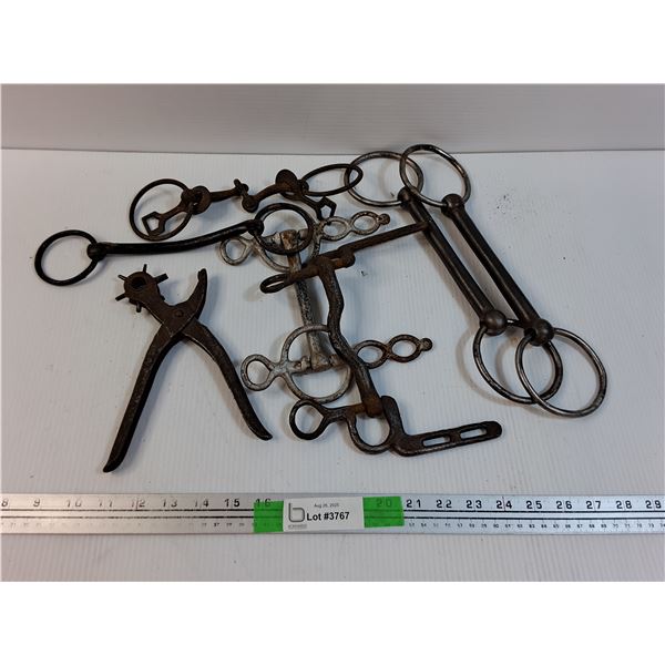 Leather Puncher and Misc Horse/Mule Bits