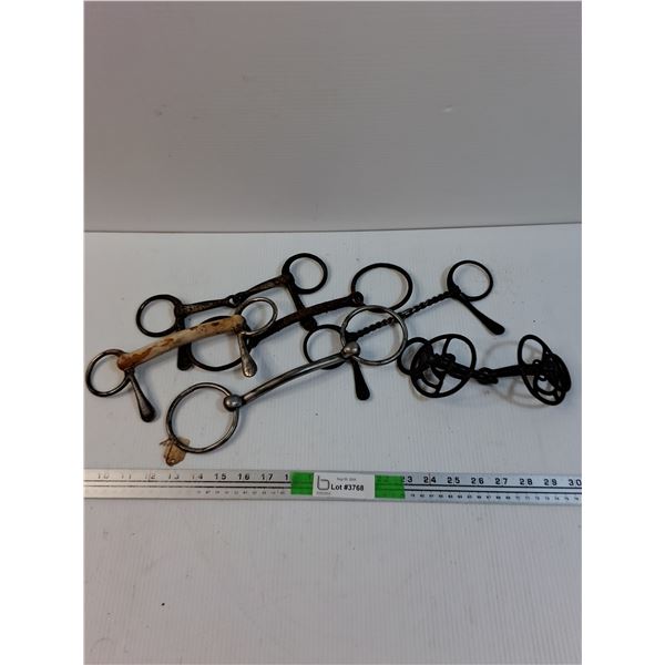 Lot of Miscellaneous Horse/Mule Bits