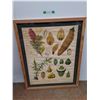 Image 1 : *Fruit Artwork with Wooden Frame 33.5" x 42", Cannot Ship