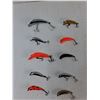Image 2 : (10) Fishing Lures