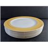 Image 2 : (7) 12" Ceramic Dining Plates