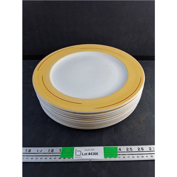 (10) 12" Ceramic Dining Plates