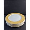 Image 2 : (8) 12" Ceramic Dining Plates