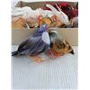 Image 2 : (12) Vintage Mountable Bird Decorations
