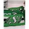 Image 4 : Metal Roughriders Bucket & (3) Roughriders Scarfs