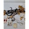 Image 3 : Variety Of Necklace, Bracelets & Earrings