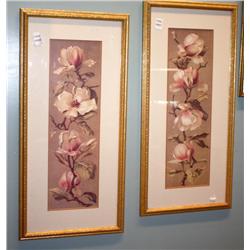 2 Framed Prints of Flowers