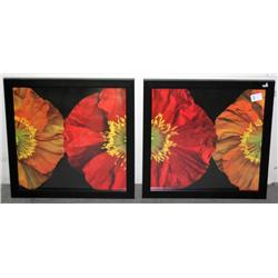 2 Framed Prints of Flowers