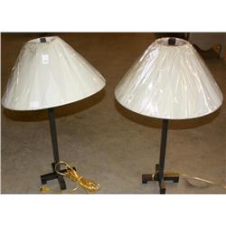 2 Matching Lamps