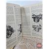 Image 13 : Variety Automotive / Farm Manuals - Brochures / etc ! (See Pictures for Titles)