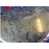 Image 2 : "Thermor" Sanitary Waterless Hot Bottle Bed Warmer (Metal)