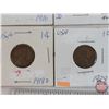 Image 8 : USA One Cent Grouping (12) : 1897; 1902; 1905; 1907; 1916; 1918; 1919; 1925; 1927; 1928; 1929; 1960 