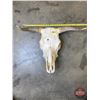 Image 1 : Bleached Steer Skull  (20"H x 24"W) (SEE PICS!)