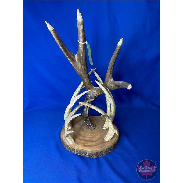 Carved Antler Display w/Eagle Head Tip Motif
