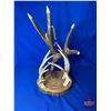 Image 1 : Carved Antler Display w/Eagle Head Tip Motif