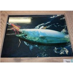 Set of 4 Framed Fishing Prints
