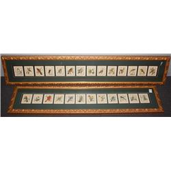 2 Framed Prints of Alphabet of Birds