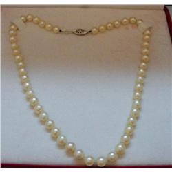 Pearl Necklace