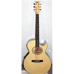 Washburn Acoustic Electric Guitar