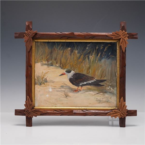 Isabel MacDuffie, Oil on Canvas, Black Skimmer Shorebird