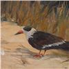Image 4 : Isabel MacDuffie, Oil on Canvas, Black Skimmer Shorebird