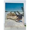 Image 8 : Set of 6 Large Format Photographs – “Dechinta: In the Bush” (1973)