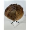 Image 4 : Vintage Muskrat Fur Pillbox‑Style Hat, with The Bay Box