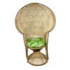 Image 1 : Vintage Peacock Wicker Chair with Green Cushion