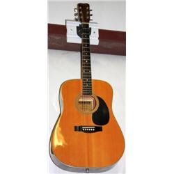Hohner Acoustic Guitar