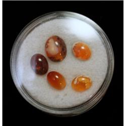 5 Mexican Fire Opals
