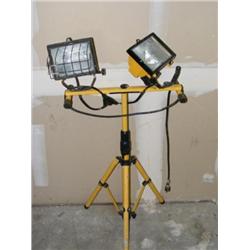 Portable Flood Light