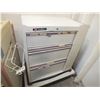 Image 2 : 2 Medical Storage Carts