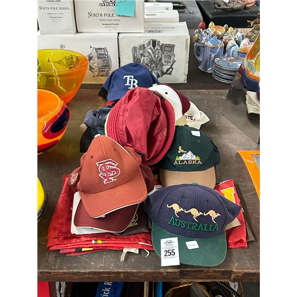 Lot of Souvenir Hats