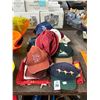 Image 1 : Lot of Souvenir Hats