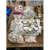 Image 1 : Sea Shell Collection