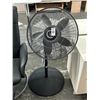 Image 1 : Lasko Pedestal Fan