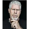 Image 1 : RON PERLMAN  AUTOGRAPH SIGNING ITEMS TO BE SUBMITTED THIS WEEK (PRICING IN DESCRIPTION)