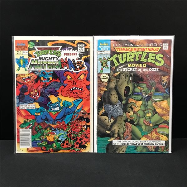 LOT OF 2 TNMT COMICS