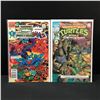 Image 1 : LOT OF 2 TNMT COMICS