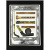 Image 2 : TONY ESPOSITO FRAMED GAME USED STICK DISPLAY WITH COA