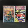 Image 1 : LOT OF 2 TEENAGE MUTANT NIJA TURTLES COMICS