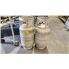 Image 1 : TWO ALUMINUM PROPANE TANKS *EXPIRATION UNKNOWN*