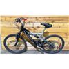 Image 2 : INFINITY VIPER 21 SPEED BIKE (RUSTED CHAIN)