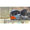 Image 2 : HJC FG-X DOT HELMET, SALOMON SIZE 30 SNOWBOARD BOOTS & NORTHWAVE SIZE 10.5 SNOWBOARD BOOTS