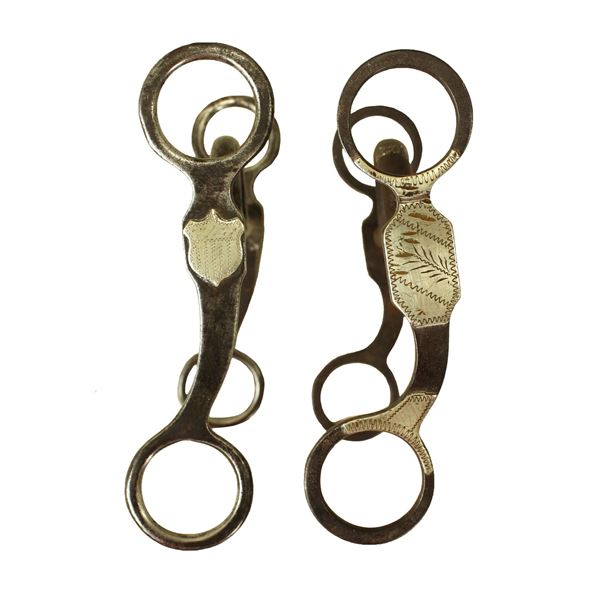 Grouping of Silver Grazing Bits