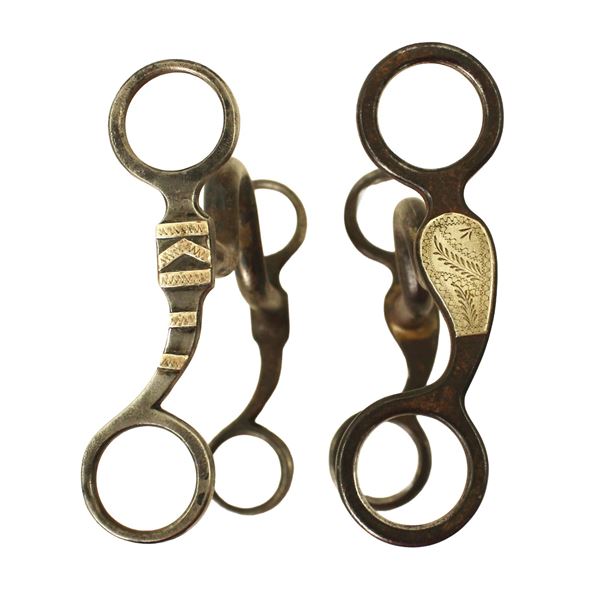 Grouping of Texas Grazing Bits