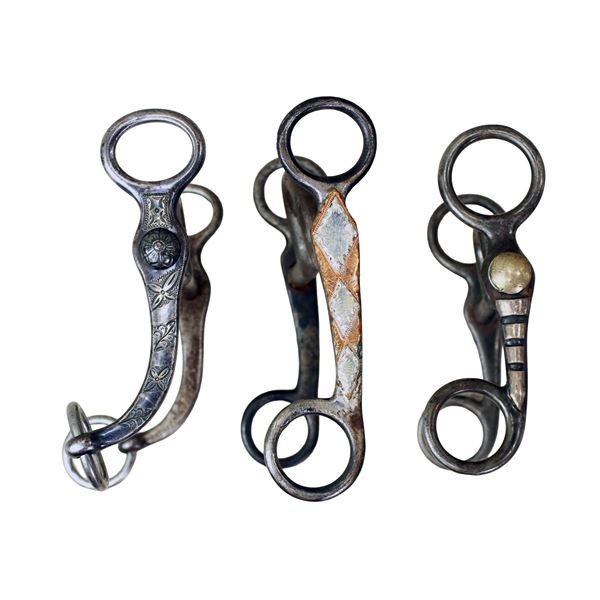 Grouping of Silver Grazing Bits