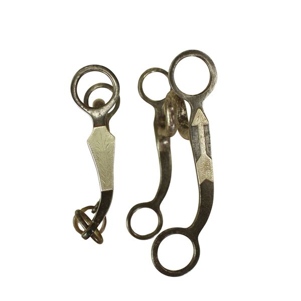 Grouping of Silver Grazing Bits